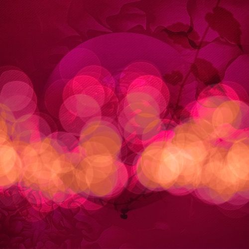 De Ballon in de tuin. 3