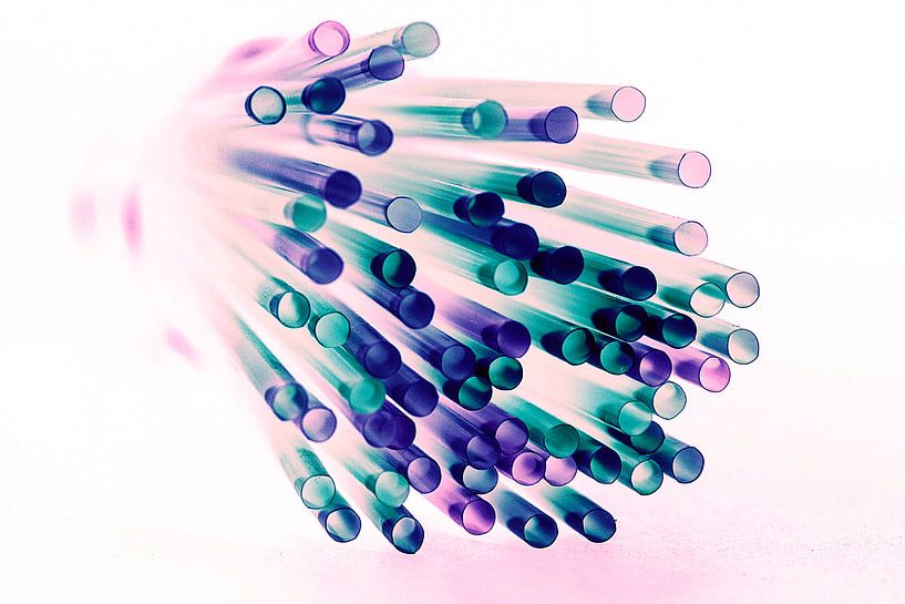 Rietjes by Wilma Wijnen