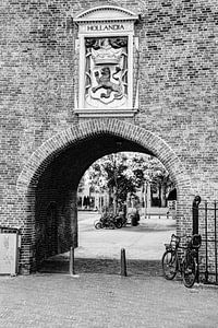 Innere Stadt von Den Haag Niederlande Schwarz und Weiß
