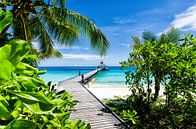 Tropical Paradise doorkijk op een bijna onbewoond eiland van Michael Bollen thumbnail