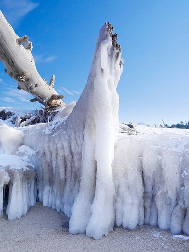 Eisriesen – Darß Weststrand im Winter 2018