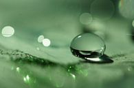 Green Droplet van Carla Mesken-Dijkhoff thumbnail