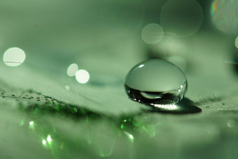 Green Droplet van Carla Mesken-Dijkhoff