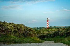 the lighthouse