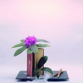 Nature morte magique avec livre, fleur et crayons. sur Saskia Dingemans Awarded Photographer