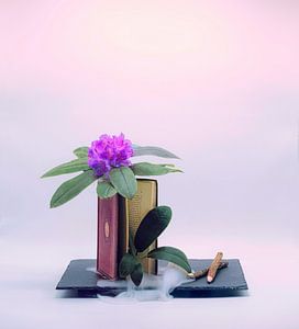 Magisches Stilleben mit Buch, Blume und Bleistiften.
