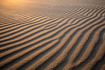 Abstract van Melissa Goedbloed