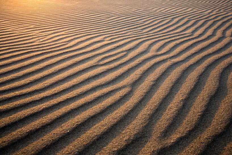 Abstract by Melissa Goedbloed
