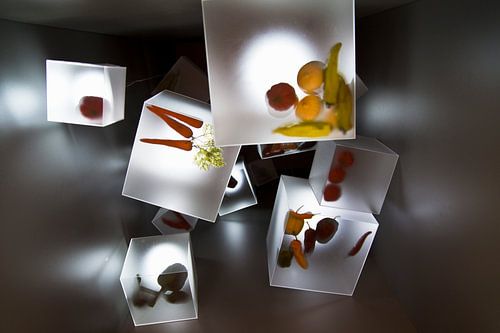 Floriade 2012 'Cubes'