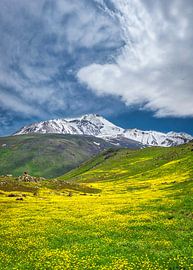 Goldener Schleier von Sabalan von Camera Glimpse