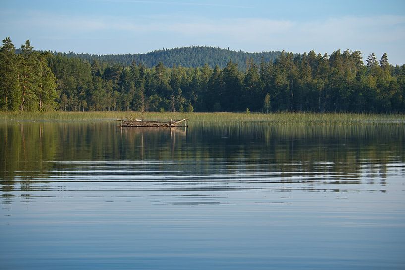 Lake in Sweden with white clouds, blue water and trees on the shore by Martin Köbsch