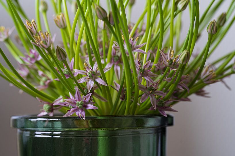 Blume in grüner Vase von Ingrid van Wolferen
