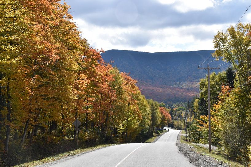 A country road in autumn by Claude Laprise