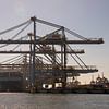 Een containerschip aan de Maasvlakte van scheepskijkerhavenfotografie