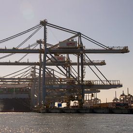 A container ship at the Maasvlakte by scheepskijkerhavenfotografie