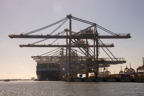 Een containerschip aan de Maasvlakte