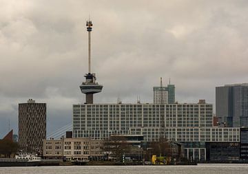 Skyline Rotterdam Euromast van Zaankanteropavontuur