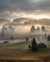 The first sunrays