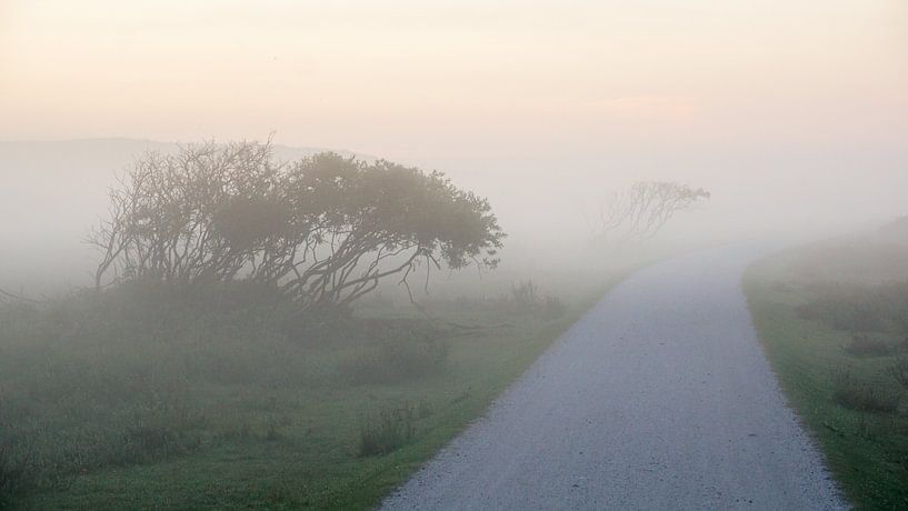Terschelling op zijn mooist! by Dirk van Egmond