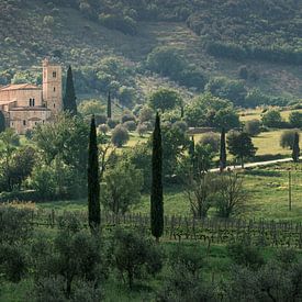 Tussen Olijven en Gebeden – Abbazia di Sant’Antimo - Toscane van Teun Ruijters