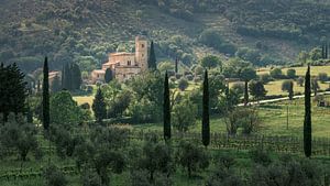 Between Olives and Prayers - Abbazia di Sant'Antimo - Tuscany