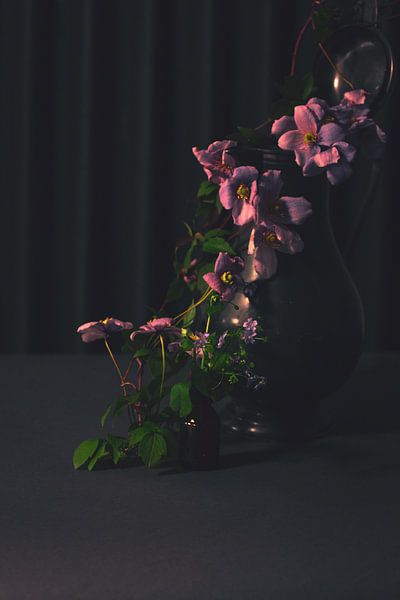 Roze glorie van met Jessica / Fotostudio Drachten