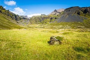 Islands Landschaft an der Mulagljjufur-Schlucht mit Gras und Moos