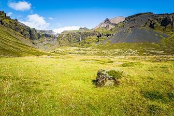 Islands Landschaft an der Mulagljjufur-Schlucht mit Gras und Moos von Sjoerd van der Wal Fotografie