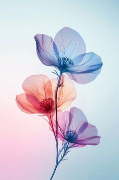 Transparantie in Kleur Minimalistische Bloemkunst Pastel tinten van Eva Lee