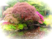 japanse tuin II