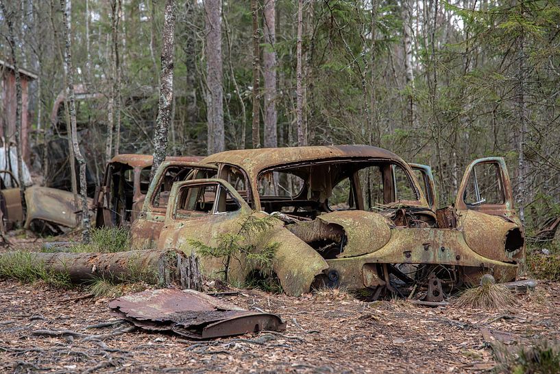 When nature strikes back by Guy Bostijn