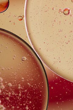 Warm colors: Bubbles and bubbles by Marjolijn van den Berg