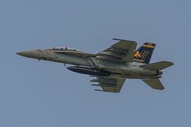 Boeing F/A-18F Super Hornet der VFA-32 Swordsmen. von Jaap van den Berg