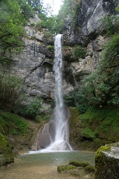 Waterval Quinquenouille