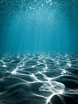 Lichtstralen op de zeebodem | Onderwaterfotografie van Visuals by Justin