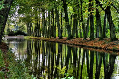 Groen Marlot