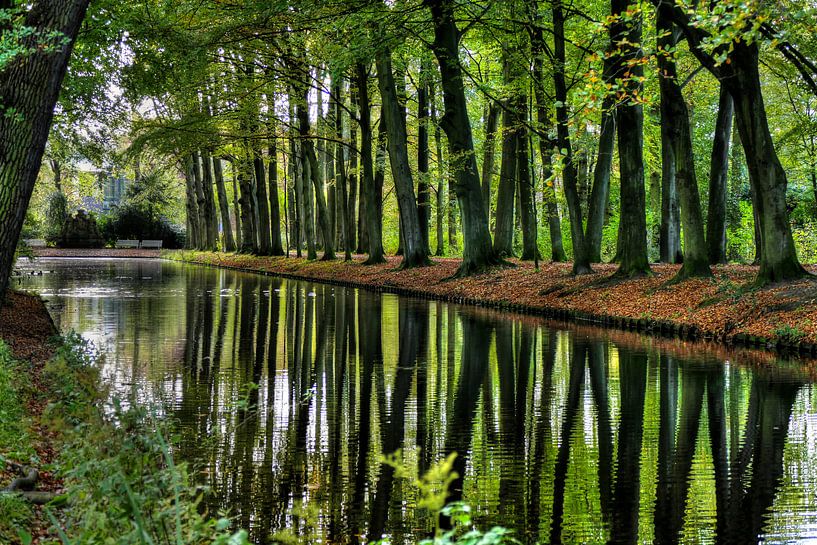 Green forest reflection by Carla van Zomeren