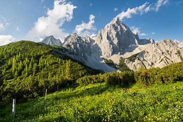 Dachstein
