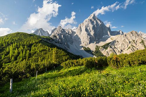 Dachstein von Rainer Mirau