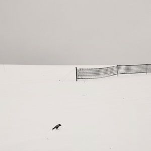 Der Vogel