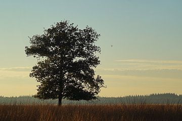 Luchtballon over Doldersumseveld van Elfriede de Jonge Boeree