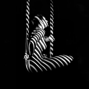 Zebra swing van Marius Boer