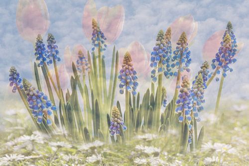 Romantische mix van voorjaarsbloemen van Lisette Rijkers