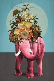 About Pink Elephants by Marja van den Hurk
