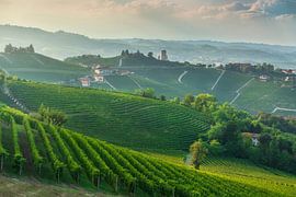 Langhe vineyards with Barbaresco tower in background, Piedmont by Stefano Orazzini
