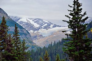 Jackson-Gletscher