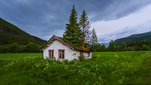 Haus mit Baum auf dem Dach in Hemsedal, Norwegen