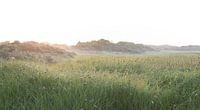 Zonsopkomst boven het Oerd Ameland