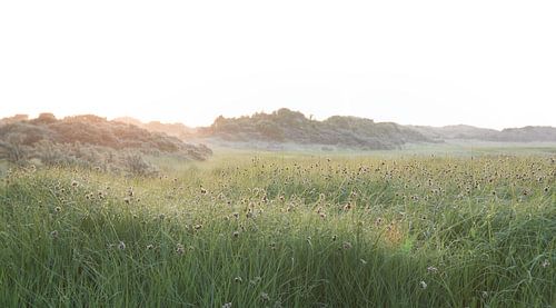 Zonsopkomst boven het Oerd Ameland