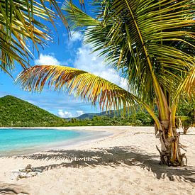 Tropen Karibik Strand von Voss Fine Art Fotografie